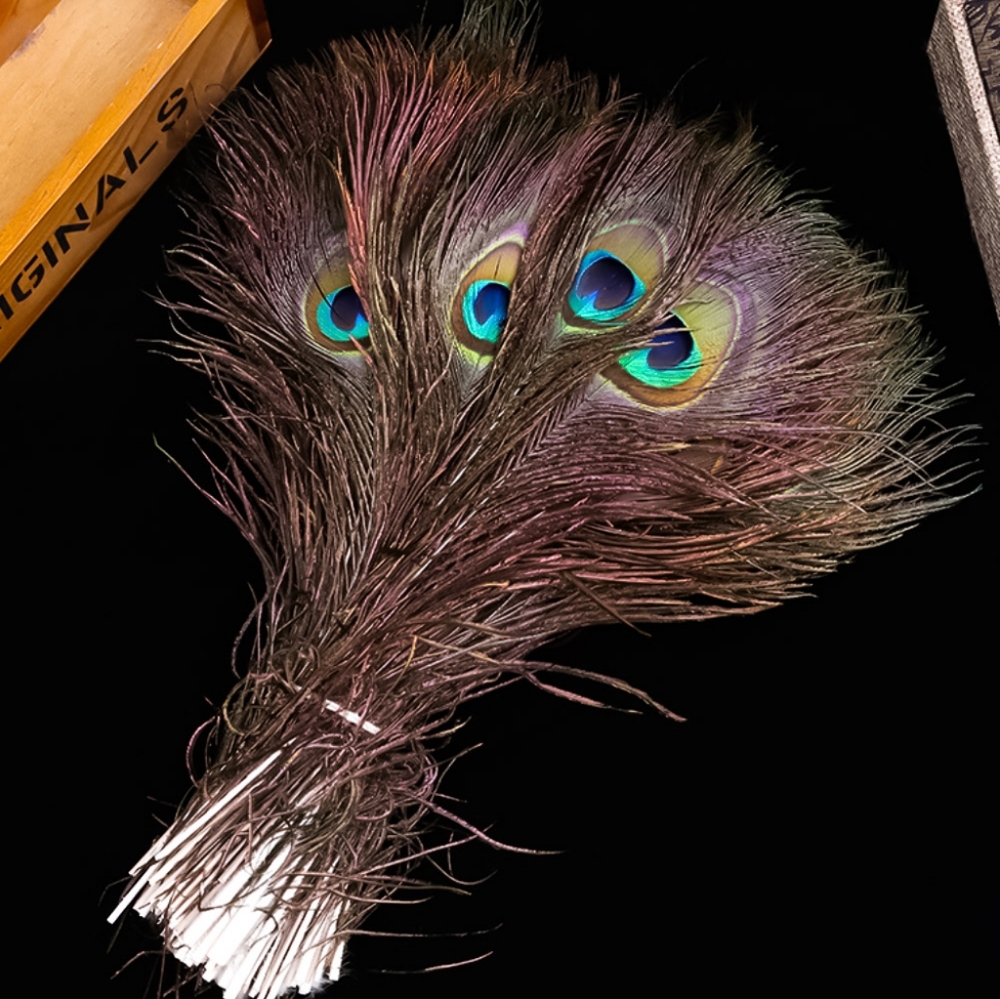 25 Large EYE Peacock Feathers 10"-12" Set of 25 High Quality Feathers - Picture 2 of 5